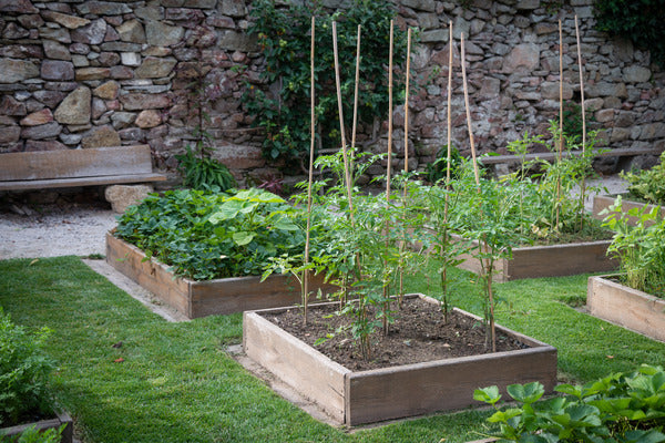 Crop rotation for growing vegetables