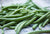 
          
            Green Beans NZ
          
        